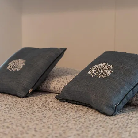 Dom wakacyjny Frisaia F3